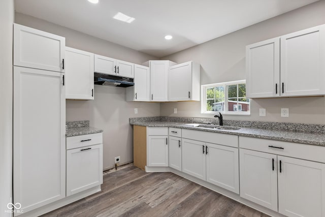 902 Woodrow Ave, Indianapolis, IN 46241 - kitchen featuring recessed lighting, white cabinetry, wood finished floors, and under cabinet range hood