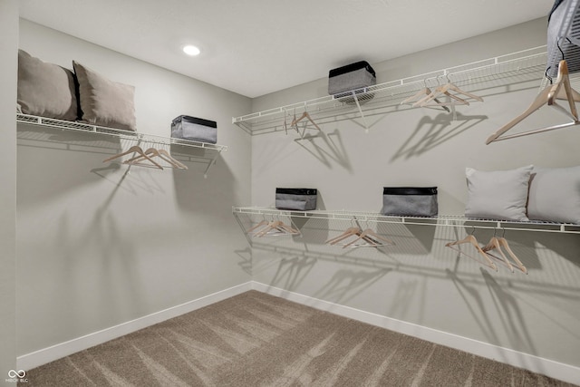 948 Shadow Dr, Danville, IN 46122 - walk in closet with carpet flooring
