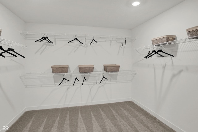 924 Shadow Dr, Danville, IN 46122 - walk in closet with carpet
