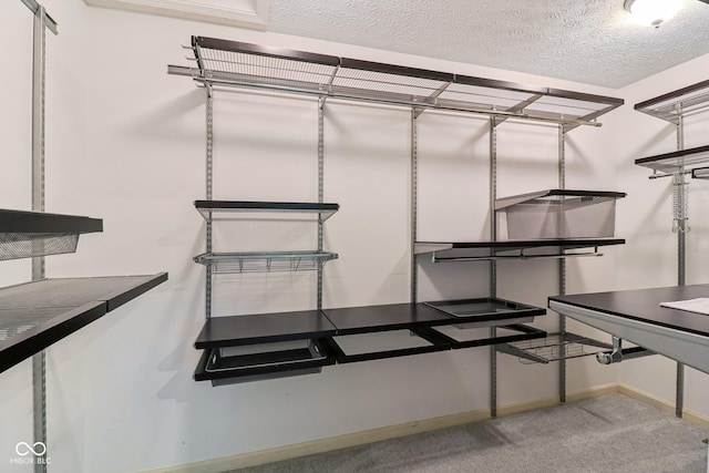 11845 Discovery Cir, Indianapolis, IN 46236 - walk in closet featuring carpet flooring