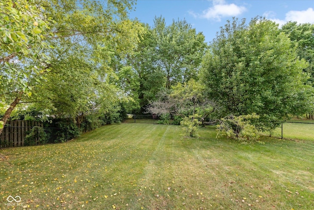 7950 Crackling Ln, Indianapolis, IN 46259 - view of fenced backyard