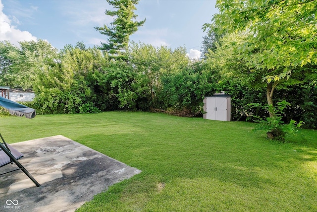 2466 Sickle Rd, Indianapolis, IN 46219 - view of green lawn featuring a storage shed and a patio area
