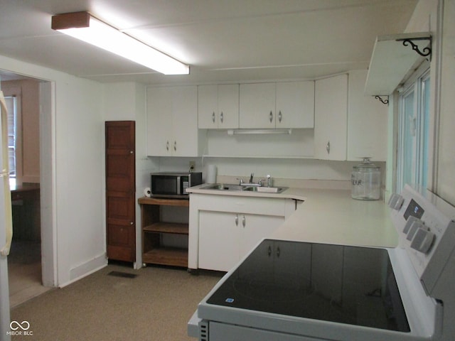 302 Lincoln St, Crawfordsville, IN 47933 - kitchen with stainless steel microwave, white electric range oven, white cabinetry, light carpet, and light countertops