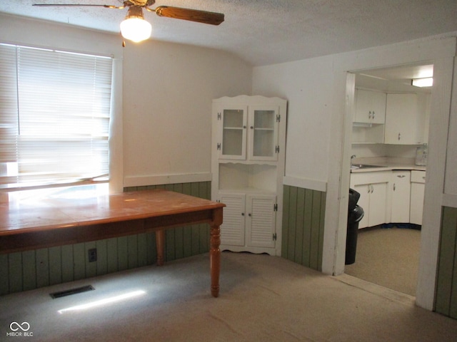 302 Lincoln St, Crawfordsville, IN 47933 - unfurnished office with ceiling fan, carpet, vaulted ceiling, and wainscoting