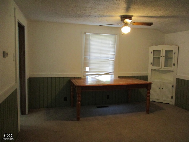 302 Lincoln St, Crawfordsville, IN 47933 - unfurnished office featuring ceiling fan, a wainscoted wall, carpet flooring, and a textured ceiling