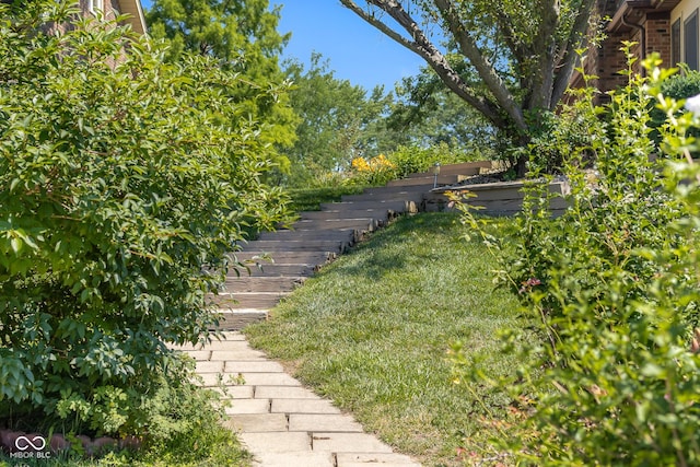 3905 Cove Rd, Columbus, IN 47203 - view of yard