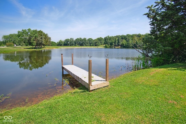 897 Wildwood Rd, North Vernon, IN 47265 - dock area with a water view and a lawn