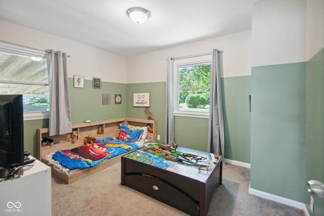 897 Wildwood Rd, North Vernon, IN 47265 - game room with carpet floors