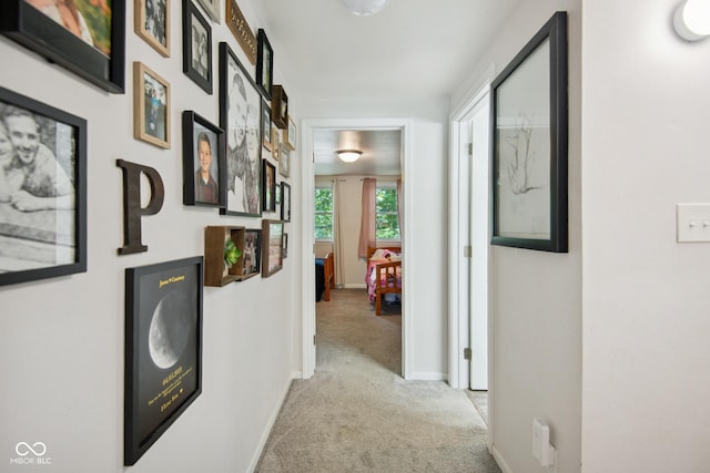 897 Wildwood Rd, North Vernon, IN 47265 - hall with carpet floors and baseboards