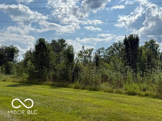 5714 High Timber Ln, Indianapolis, IN 46235 - view of nature