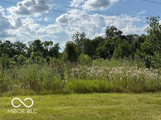 5714 High Timber Ln, Indianapolis, IN 46235 - view of nature