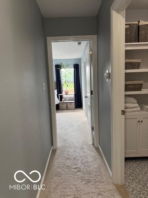 5714 High Timber Ln, Indianapolis, IN 46235 - hall with carpet flooring