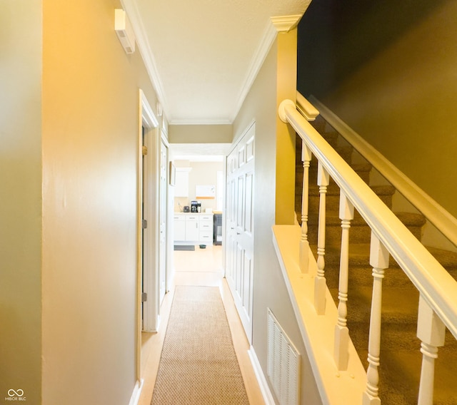 8017 Cardinal Cv W, Indianapolis, IN 46256 - corridor featuring crown molding, light colored carpet, and stairway