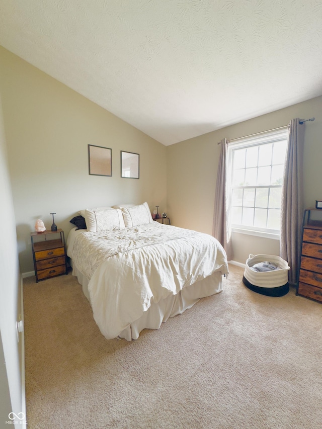 8017 Cardinal Cv W, Indianapolis, IN 46256 - carpeted bedroom featuring lofted ceiling and a textured ceiling