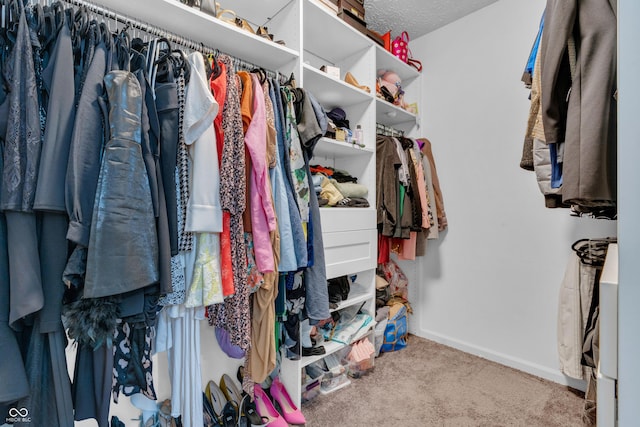 10249 Winlee Ct, Indianapolis, IN 46236 - spacious closet with carpet floors