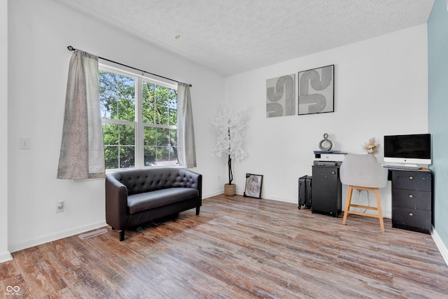 10249 Winlee Ct, Indianapolis, IN 46236 - living area with wood finished floors and a textured ceiling