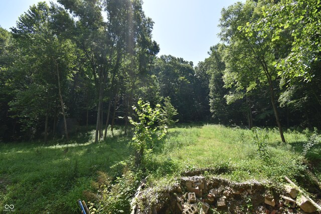 525 Catholic Cemetery Rd, Martinsville, IN 46151 - photo 5