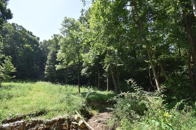 525 Catholic Cemetery Rd, Martinsville, IN 46151 - photo 6
