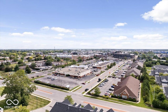 8256 Jo Ellen Dr, Fishers, IN 46038 - drone / aerial view