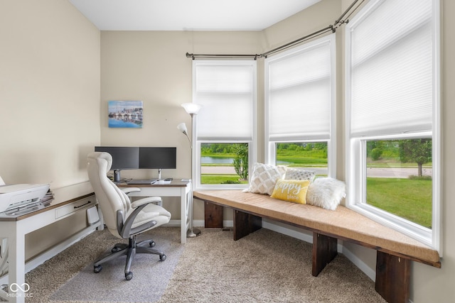 2533 Violet Way, Columbus, IN 47201 - home office featuring carpet flooring