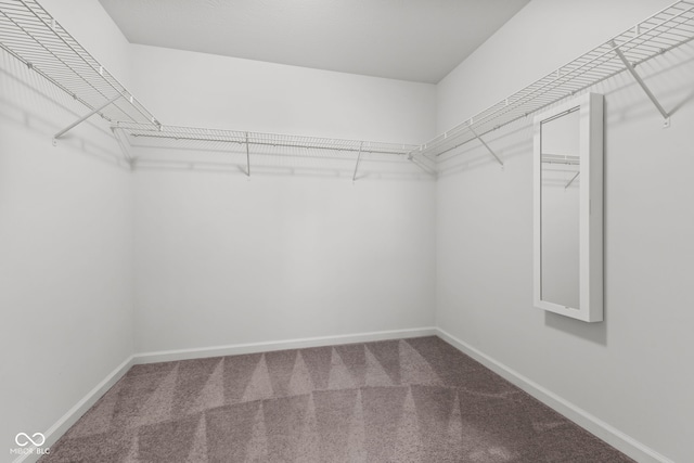 5398 Marigold Dr, Plainfield, IN 46168 - spacious closet featuring carpet flooring