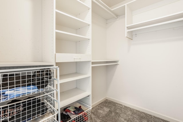 12861 Clifford Cir, Carmel, IN 46032 - walk in closet featuring carpet flooring