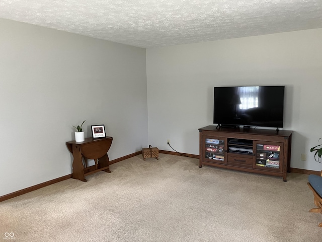 19938 State Road 37 N, Noblesville, IN 46060 - carpeted living area with a textured ceiling and baseboards