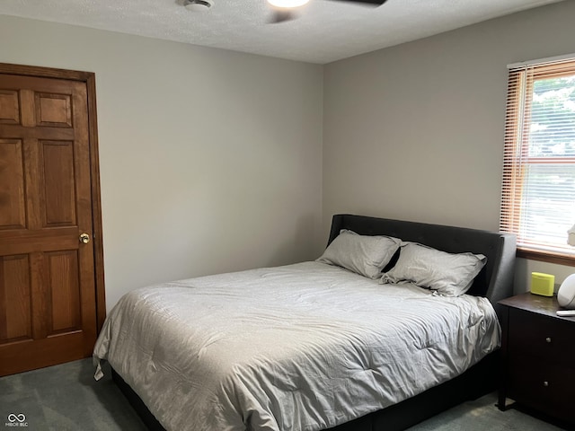 19938 State Road 37 N, Noblesville, IN 46060 - bedroom featuring carpet and a ceiling fan