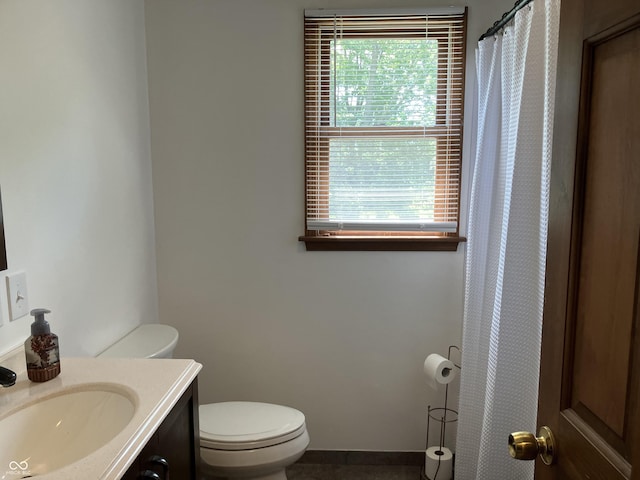 19938 State Road 37 N, Noblesville, IN 46060 - full bath with plenty of natural light, vanity, and a shower with shower curtain