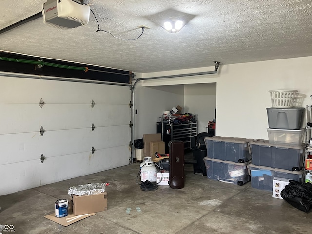 19938 State Road 37 N, Noblesville, IN 46060 - garage with a garage door opener