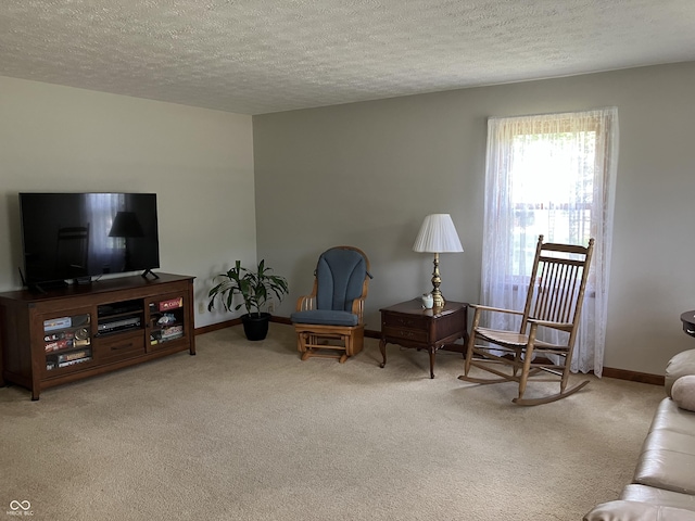 19938 State Road 37 N, Noblesville, IN 46060 - living area with carpet and a textured ceiling