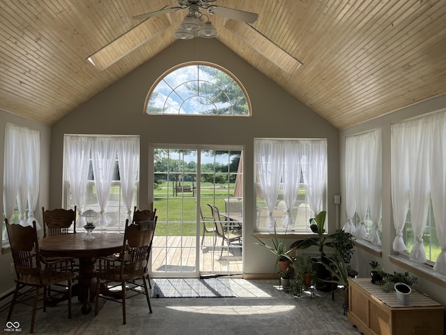 19938 State Road 37 N, Noblesville, IN 46060 - sunroom / solarium with lofted ceiling and a skylight