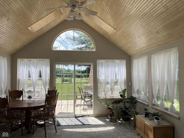 19938 State Road 37 N, Noblesville, IN 46060 - sunroom featuring a skylight and vaulted ceiling
