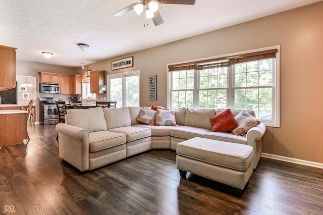 7611 Prairie Fire Ct, Brownsburg, IN 46112 - living room featuring healthy amount of natural light, a ceiling fan, dark wood-type flooring, and a textured ceiling