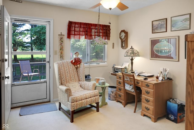 6880 S 850 E, Zionsville, IN 46077 - office space with carpet flooring and a ceiling fan