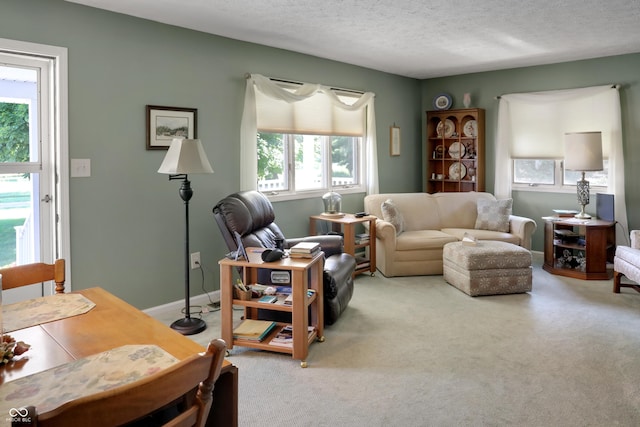 6880 S 850 E, Zionsville, IN 46077 - carpeted living room with a textured ceiling