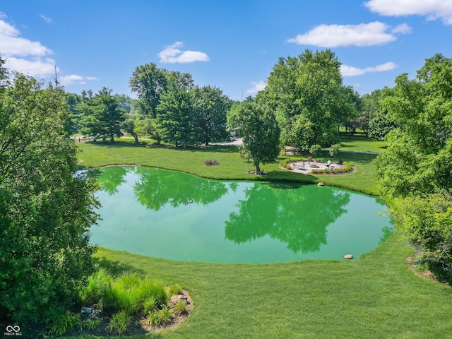 6880 S 850 E, Zionsville, IN 46077 - water view featuring a tree filled landscape