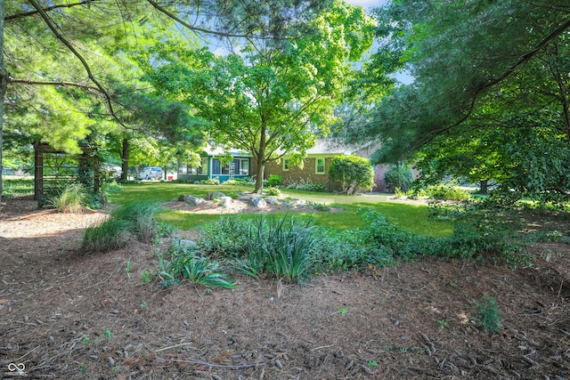 6880 S 850 E, Zionsville, IN 46077 - view of grassy yard