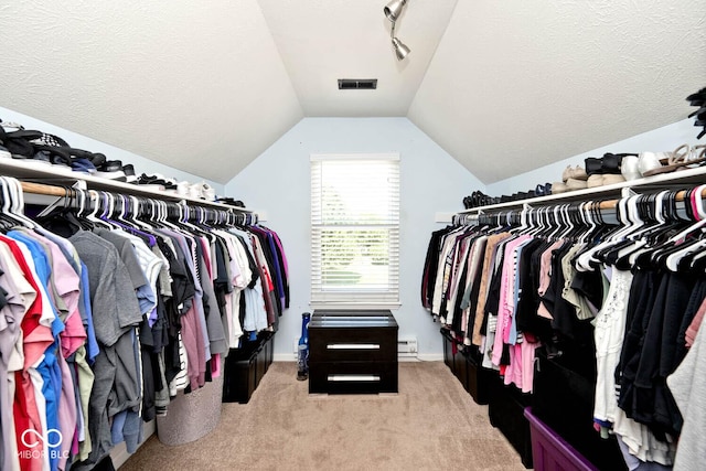 1093 Springwater Dr, Greenwood, IN 46143 - walk in closet with lofted ceiling and light carpet