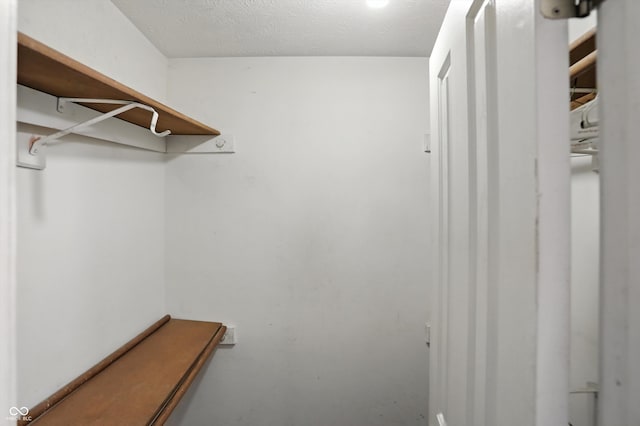 12316 Winding Creek Cir, Indianapolis, IN 46236 - view of walk in closet