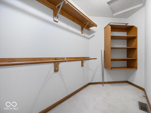294 Keller Dr, Greenfield, IN 46140 - walk in closet featuring carpet flooring