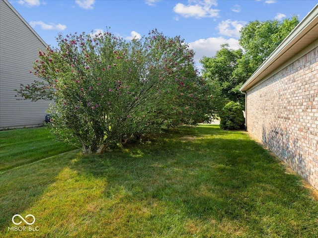 294 Keller Dr, Greenfield, IN 46140 - view of grassy yard