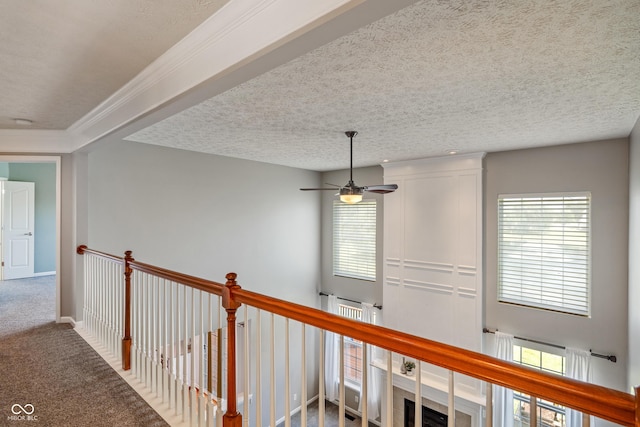 11761 Boothbay Ln, Fishers, IN 46037 - hall with carpet flooring and a textured ceiling