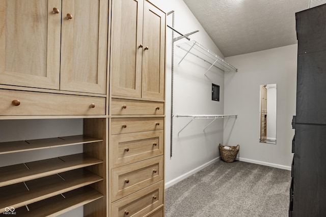 11761 Boothbay Ln, Fishers, IN 46037 - walk in closet featuring dark carpet