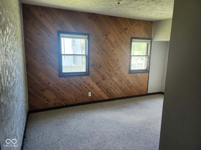 201 N Leland St, Fortville, IN 46040 - empty room featuring carpet, plenty of natural light, a textured ceiling, and wooden walls