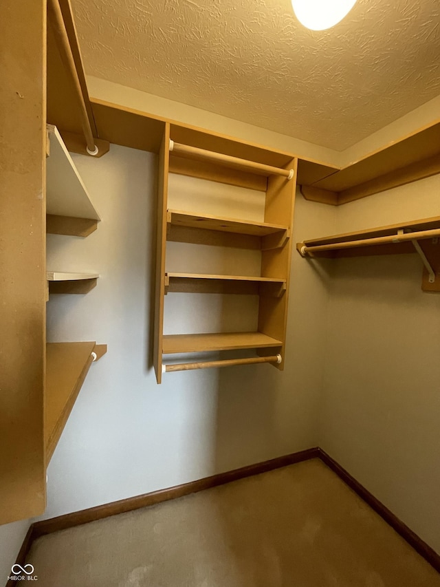 2068 Suda Dr, Carmel, IN 46280 - walk in closet with carpet flooring
