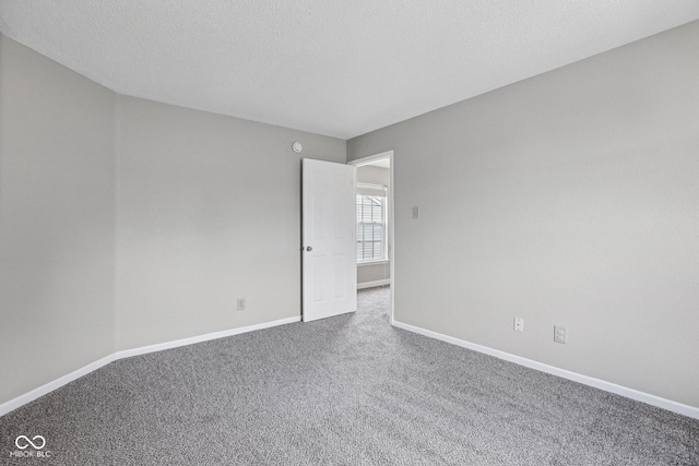 12632 Endurance Dr, Fishers, IN 46037 - empty room featuring carpet floors and a textured ceiling