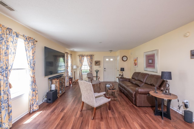 10301 Cerulean Dr, Noblesville, IN 46060 - living room featuring wood finished floors