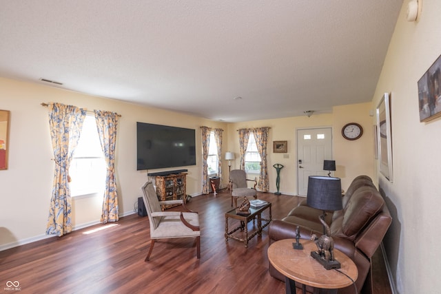 10301 Cerulean Dr, Noblesville, IN 46060 - living room featuring dark wood-style floors and a textured ceiling