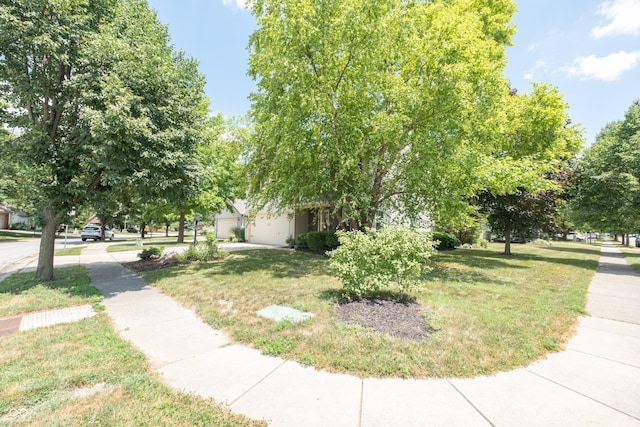 10301 Cerulean Dr, Noblesville, IN 46060 - view of community featuring a yard